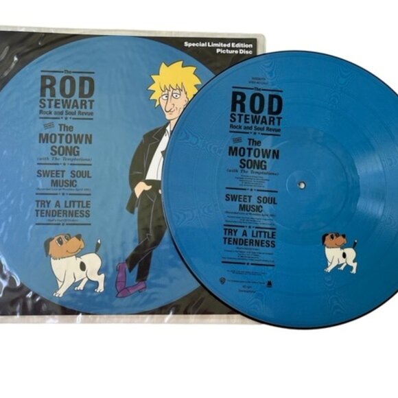 LE ROD STEWART Picture Disc Vinyl Album | Record Released 1991 British Rock Musi - Picture 3 of 4